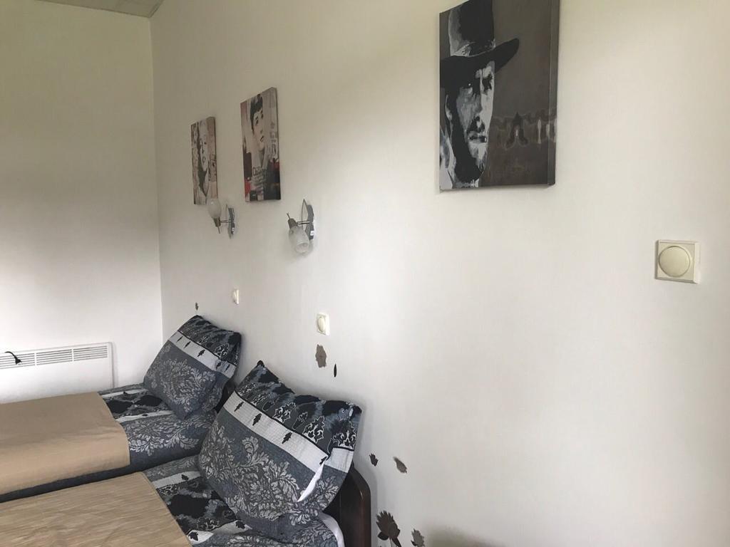 Felix Apartment Zlatibor Ngoại thất bức ảnh